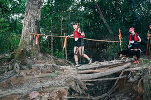 BIB: 
                            <button type="button" onclick="openModal(27312853)" class="btn btn-primary btn-sm float-right btn-popup" data-toggle="modal" data-target=".modal-high-quality">
                        <i class="fas fa-shopping-cart"></i> Add to Cart
                    </button>
                                            <button type="button" onclick="isThisMe(27312853, true)" class="btn btn-success btn-sm float-right btn-popup btn-isme hidden" data-toggle="tooltip" data-placement="bottom" title="นี่คือรูปของคุณใช่ไหม คลิกที่นี่เพื่อเอาเข้าอัลบั้ม">
                        <i class="fas fa-plus"></i> Add to album
                    </button>
                    <button type="button" onclick="isThisMe(27312853, false)" class="btn btn-warning btn-sm float-right btn-popup btn-isnotme hidden">
                        <i class="fas fa-ban"></i> Remove from album
                    </button>